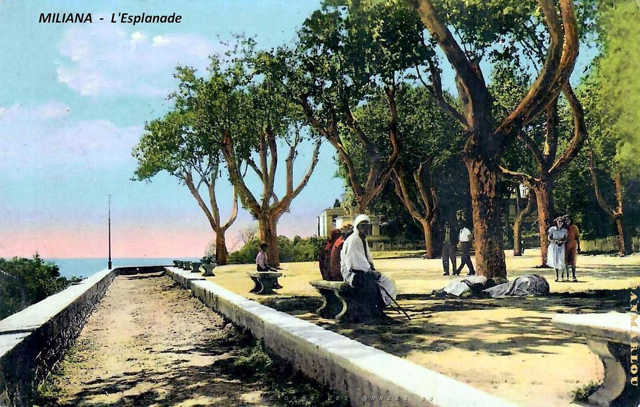 Miliana - Esplanade.jpg